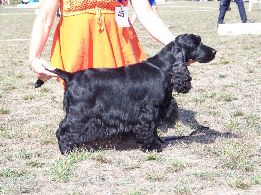 Ophelie de l'Orme à Lieue