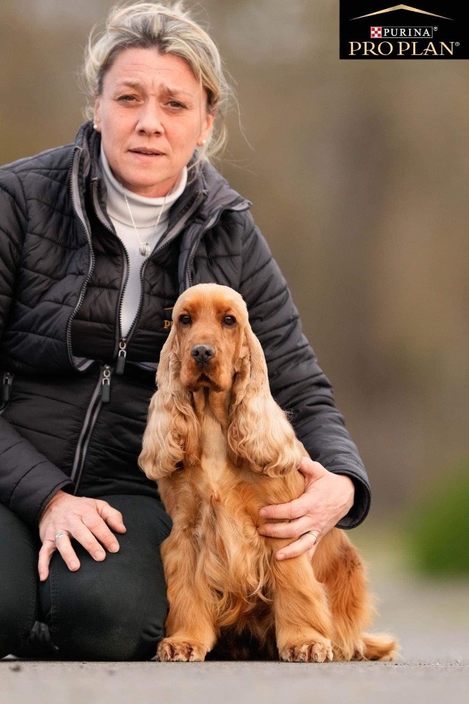 T chipie de l'Orme à Lieue